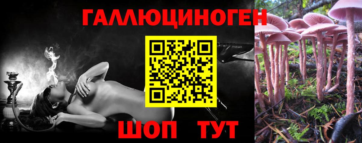 Галлюциногенные грибы Psilocybe  хочу наркоту  Балтийск  Вход с VPN 