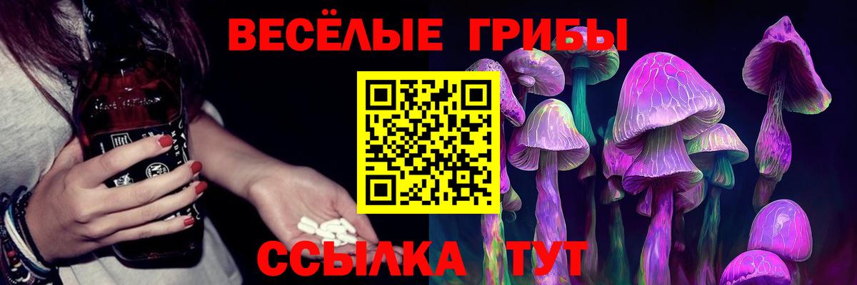 Галлюциногенные грибы Magic Shrooms Балтийск